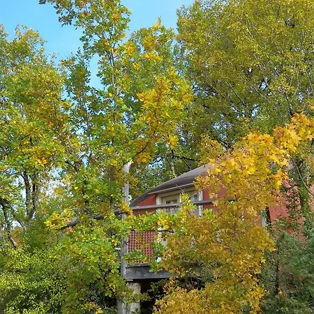 Les Hauts D'albas Albas (Lot)