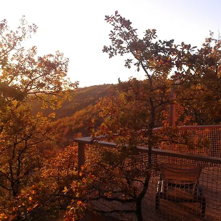 Les Hauts D'albas * Albas (Lot)
