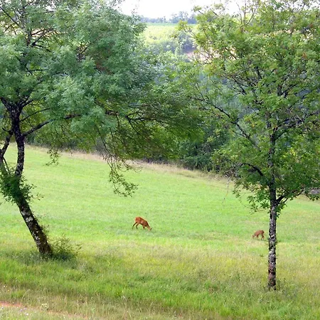 Les Hauts D'albas Holiday home *
