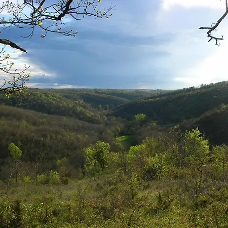 Les Hauts D'albas Albas (Lot)