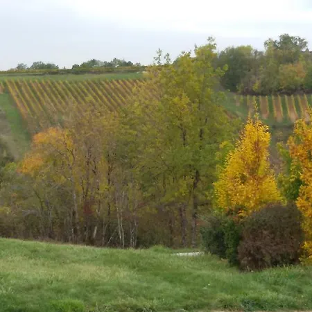 Les Hauts D'albas Feriehus Albas (Lot)